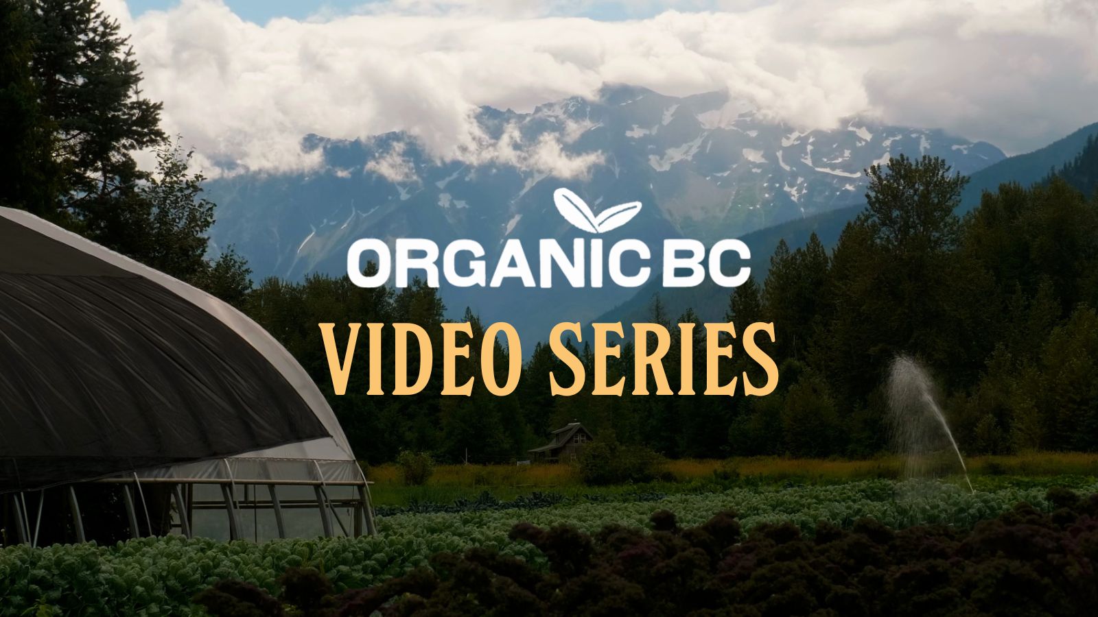 Organic BC Video Series Organic BC   Organic BC Video Series 