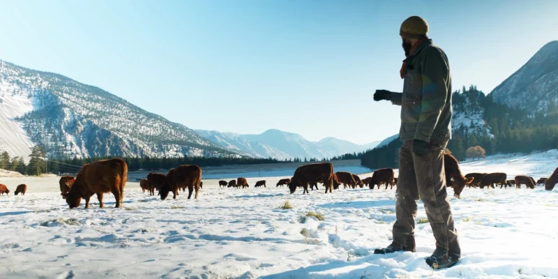 Spray Creek Ranch – Winter Grazing in a Rotational Grazing System